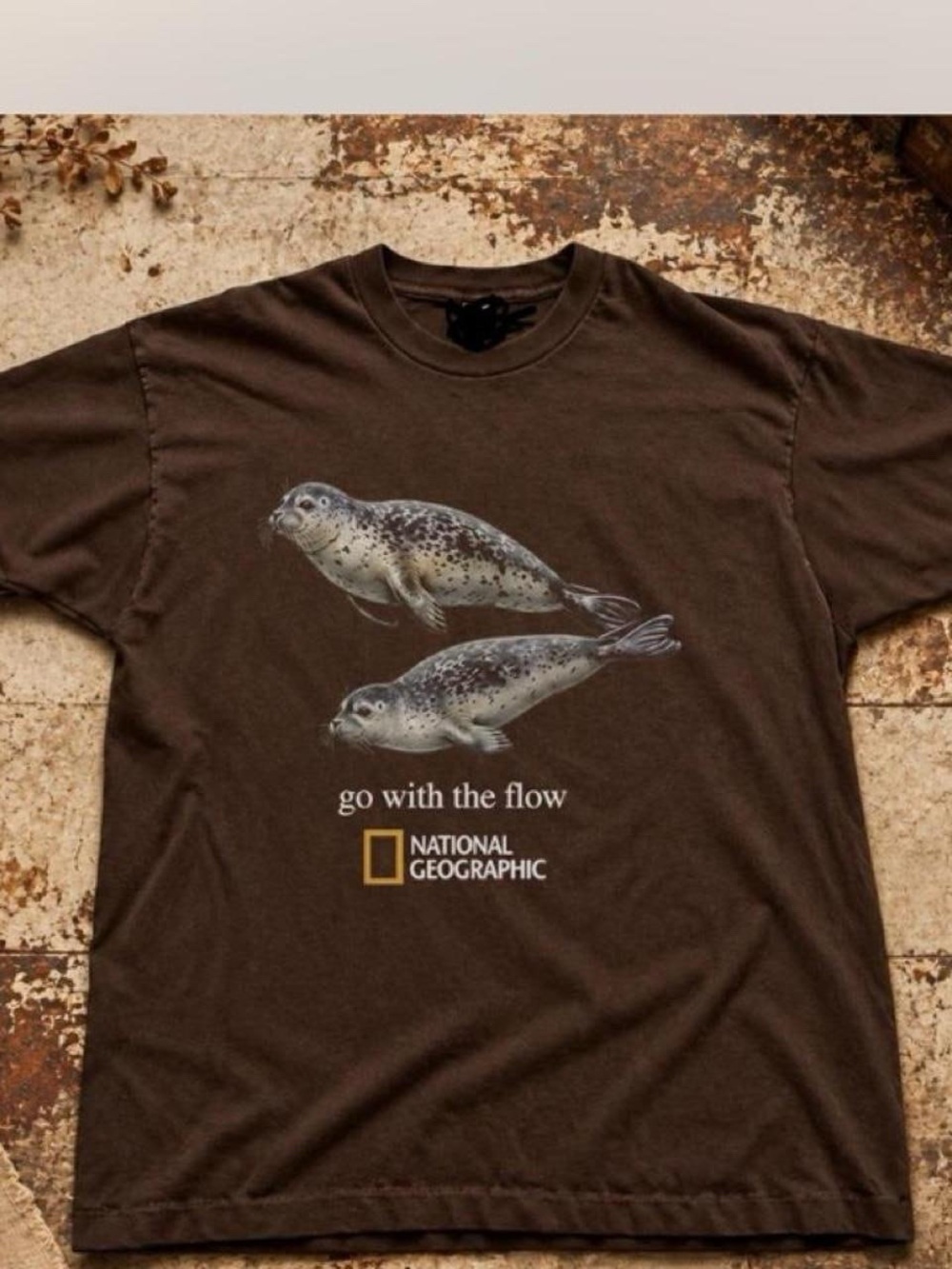 Gildan National Geographic Seal Graphic Tee shirt
